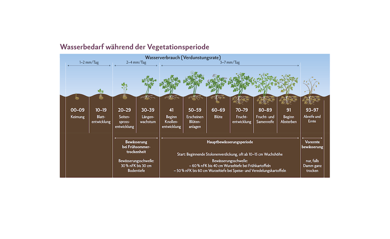 Wasserbedarf während der Vegetationsperiode