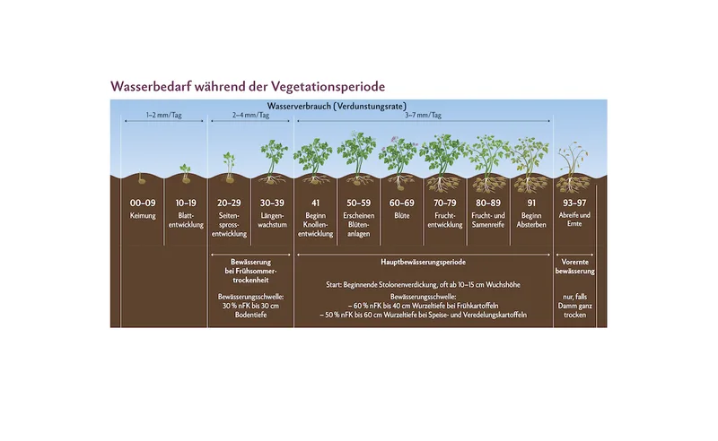 Wasserbedarf während der Vegetationsperiode