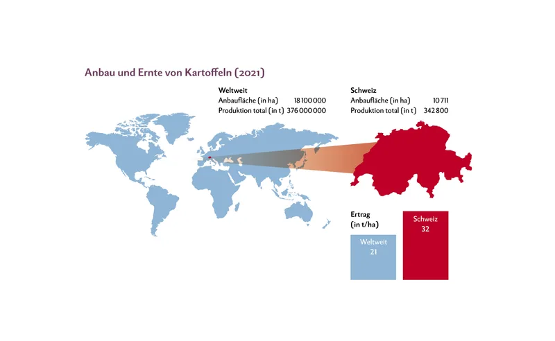 Anbau und Ernte Kartoffeln 2021