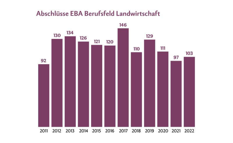 Seit es die Ausbildung AgrarpraktikerIn EBA gibt, schliessen im Schnitt jedes Jahr rund 100 Lernende ab. Bei den EFZ-Lernenden sind es jährlich rund 1000.