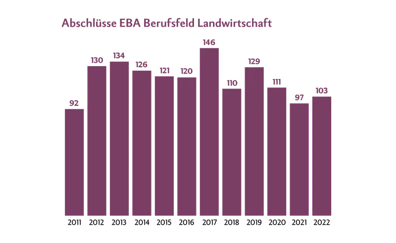 Seit es die Ausbildung AgrarpraktikerIn EBA gibt, schliessen im Schnitt jedes Jahr rund 100 Lernende ab. Bei den EFZ-Lernenden sind es jährlich rund 1000.