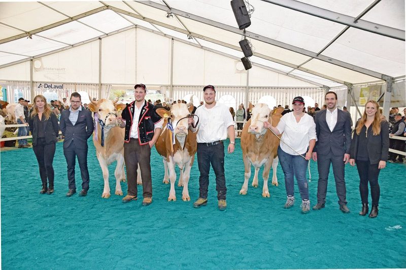Championne Simmental (v. l. n. r.): Reserve: Brisago Amsel; Miss: Fabbio Foxa; Mention: Figo Orella.