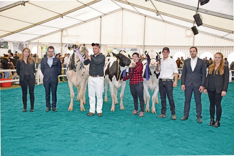Intermediare Holstein (v. l. n. r.): Reserve: Jacobs Doorman Estrumate; Miss: Eptingen’s Bad Ilona; Mention: Flury’Pat Rossja.