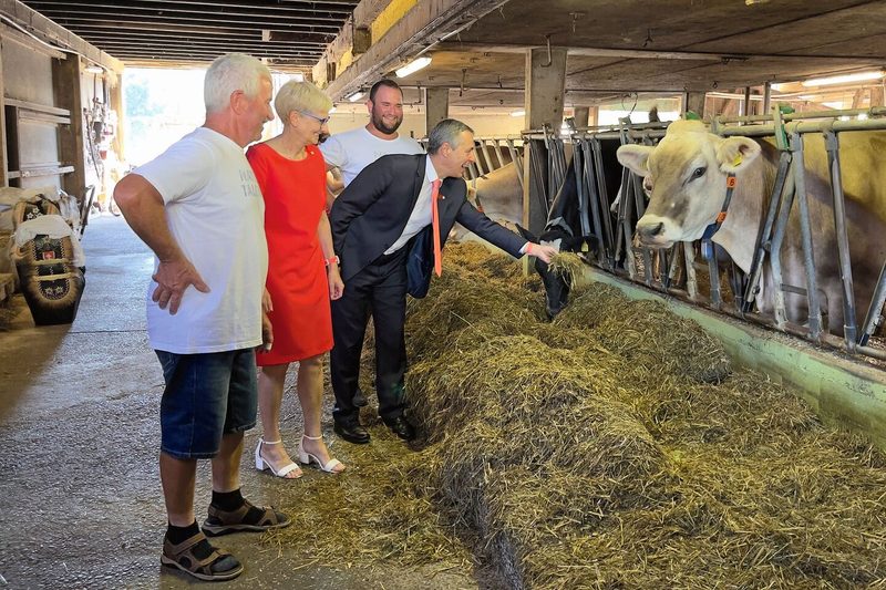 Tagebuch: Bier, Stroh & hohe Tiere