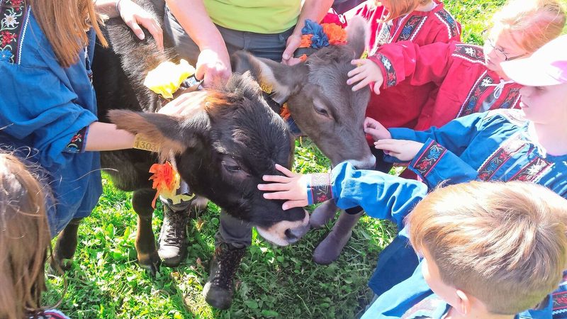 Auf dem Berghof Rohr kommen viele Kinder zum ersten Mal in Kontakt mit der Landwirtschaft. Das Einzugsgebiet der Bauernhofgeburtstage reicht bis nach Zürich.