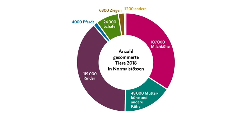Im Jahr 2018 waren es total 309 000 Normalstösse. Ein Normalstoss entspricht der Sömmerung einer raufutterverzehrenden Grossvieheinheit RGVE während 100 Tagen. Quelle: SAV und BLW. Grafik: Nicole Geiser