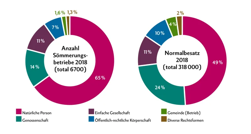 Sömmerungsbetriebe sind meistens natürliche Personen und einfache Gesellschaften. Anders als bei Ganzjahresbetrieben gibt es bei Sömmerungsbetrieben auch viele Genossenschaften oder öffentlich-rechtliche Körperschaften. Ein Grund ist die Tradition. Und die kollektive Bewirtschaftung weist insbesondere bei einer extensiveren Nutzung wirtschaftliche Vorteile auf. Quelle: BLW. Grafik: Nicole Geiser