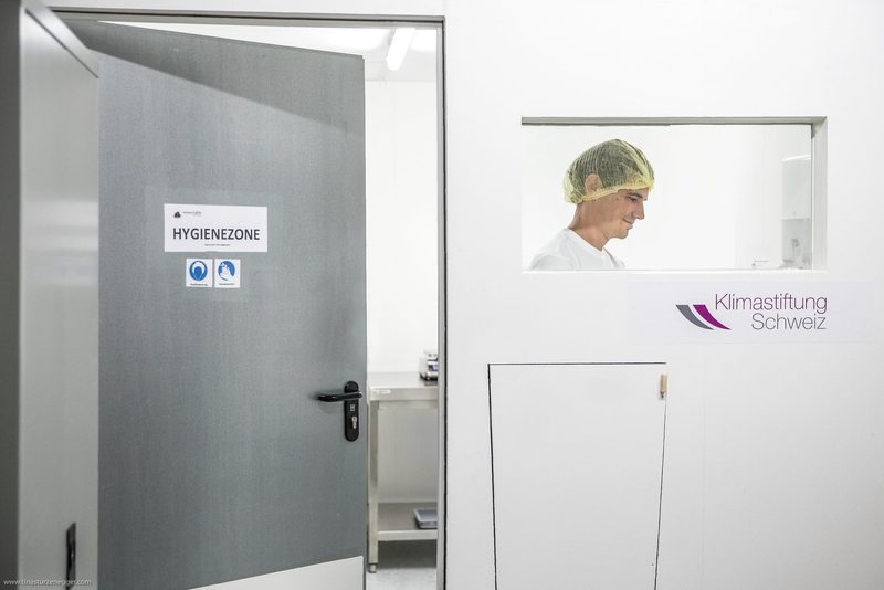 Mehlwürmer können Abfallverwerter und Lebensmittel sein