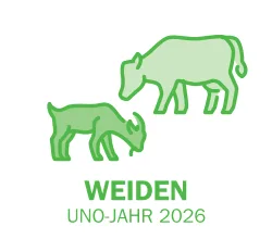 Milch aus Gras – Biobauer Peter Trachsel setzt seine Strategie erfolgreich um