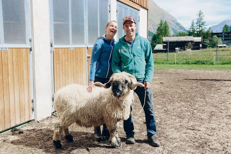 Nadine und Robi Perren mit ihrem Schwarznasenschafbock, zuständig für hundert Mutterschafe. Die Tiere sollen für Familie Perren den Grundstein für eine landwirtschaftliche Zukunft legen.