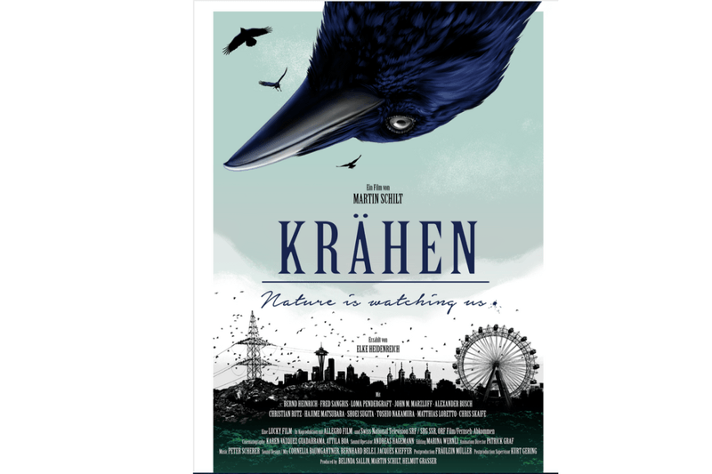 Schweizer Dokumentarfilm zeigt, wie klug Rabenvögel sind