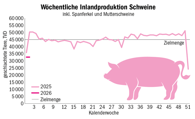 Pro Woche 3000 Schlachtschweine zu viel – das Jagermodell wird angepasst