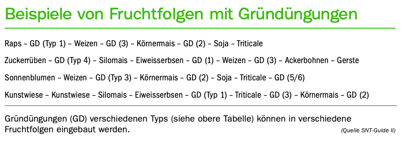 Gründüngungen – Bereits jetzt für den Sommer planen