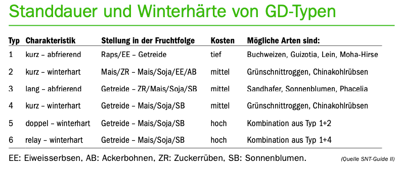 Gründüngungen – Bereits jetzt für den Sommer planen