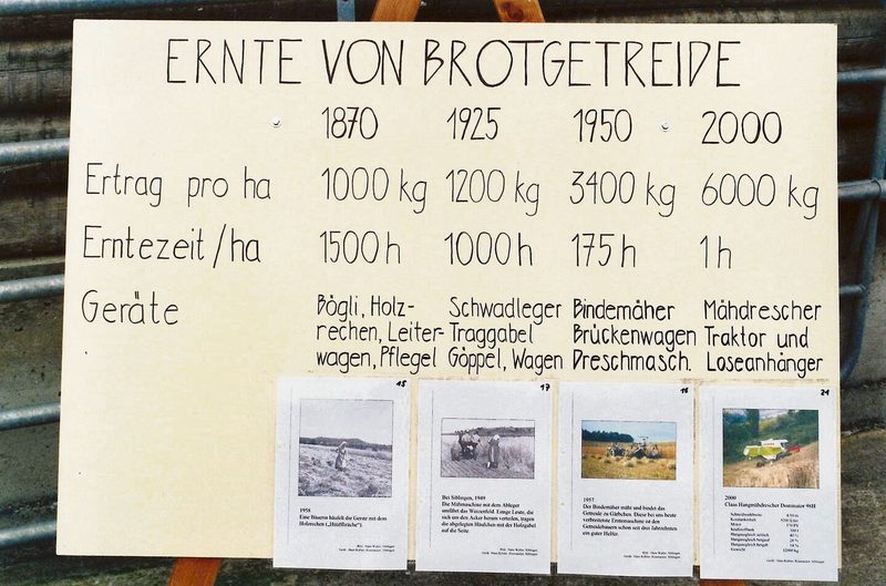 So stark veränderten sich die für die Brotgetreideernte aufgewendeten Arbeitsstunden und der erzielte Ertrag pro Hektare über den Zeitraum von 1870 bis 2000.