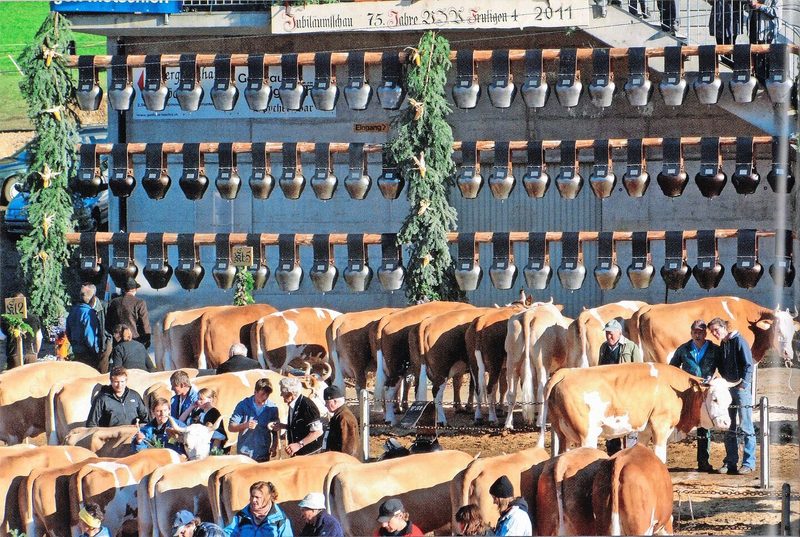 Im Jahr 2011: Jubiläumsschau VZV Frutigen 4. Mit dabei ist Familie Klötzli.