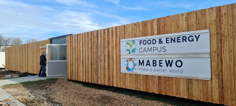 Im Container gewachsenes Gerstengras soll die Krippe füllen und die Milch verbessern