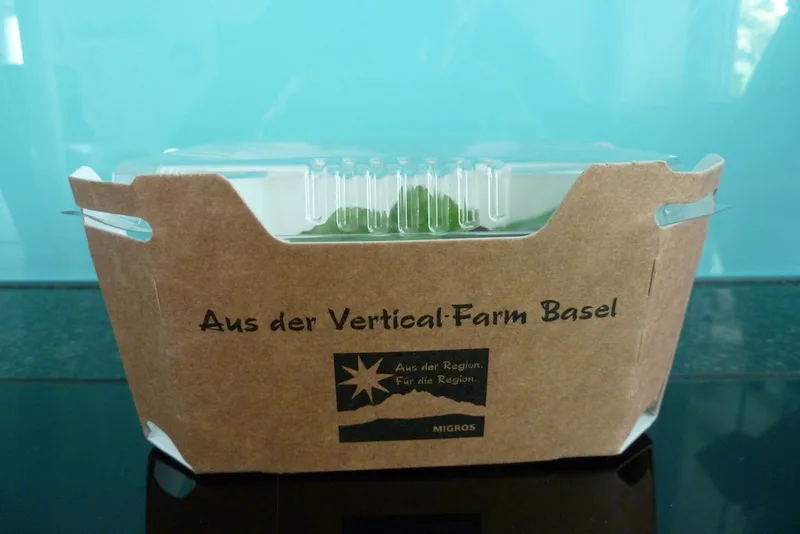 Im Container gewachsenes Gerstengras soll die Krippe füllen und die Milch verbessern