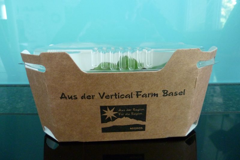 Im Container gewachsenes Gerstengras soll die Krippe füllen und die Milch verbessern