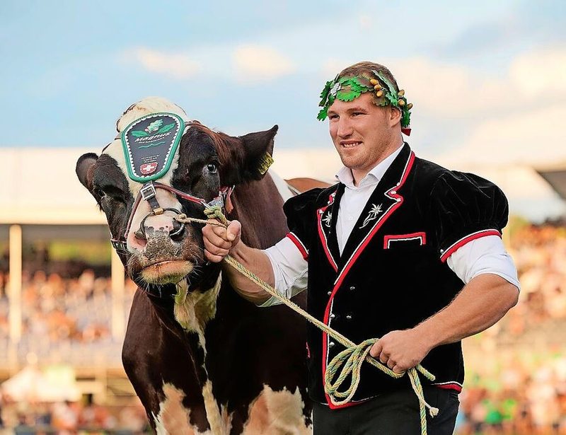 ESAF-Siegerstier Zibu sieht dem Rummel gelassen entgegen