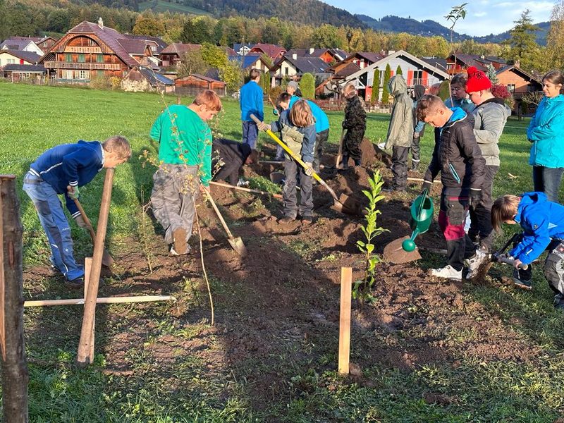 Es wurde angepackt und 5930 Heckenpflanzen neu gesetzt