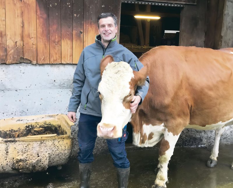 Eine Milchproduktion ganz ohne Antibiotika - Der Verzicht funktioniert