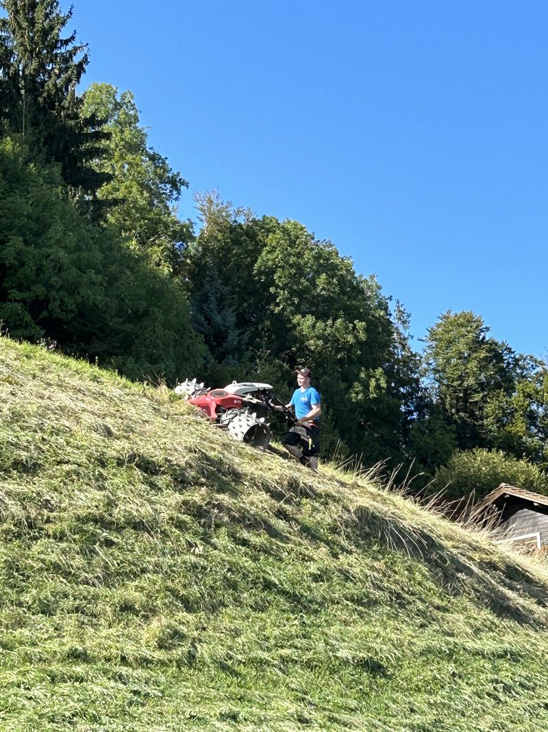 Sina und Colin suchen einen Hof
