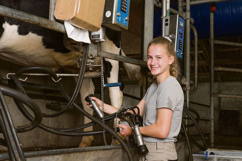Nicht alle haben die gleichen Bedürfnisse: Wer lediglich einen einfachen Grünlandbetrieb führen will, soll das EFZ in drei Jahren machen können.