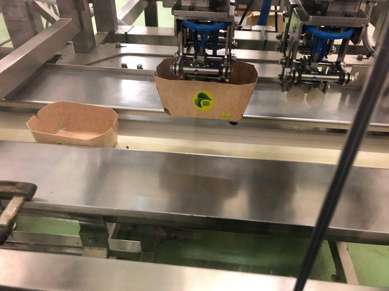 Biogemüse anbauen, aufbereiten und verkaufen