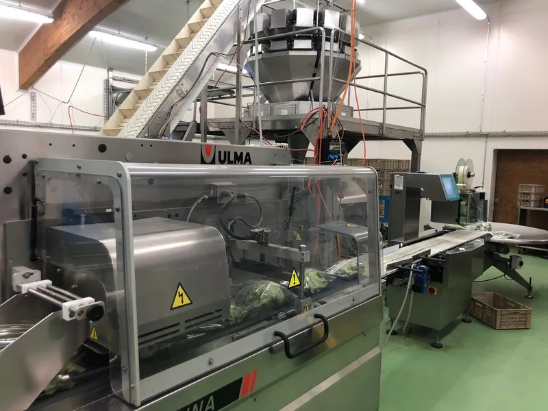 Biogemüse anbauen, aufbereiten und verkaufen