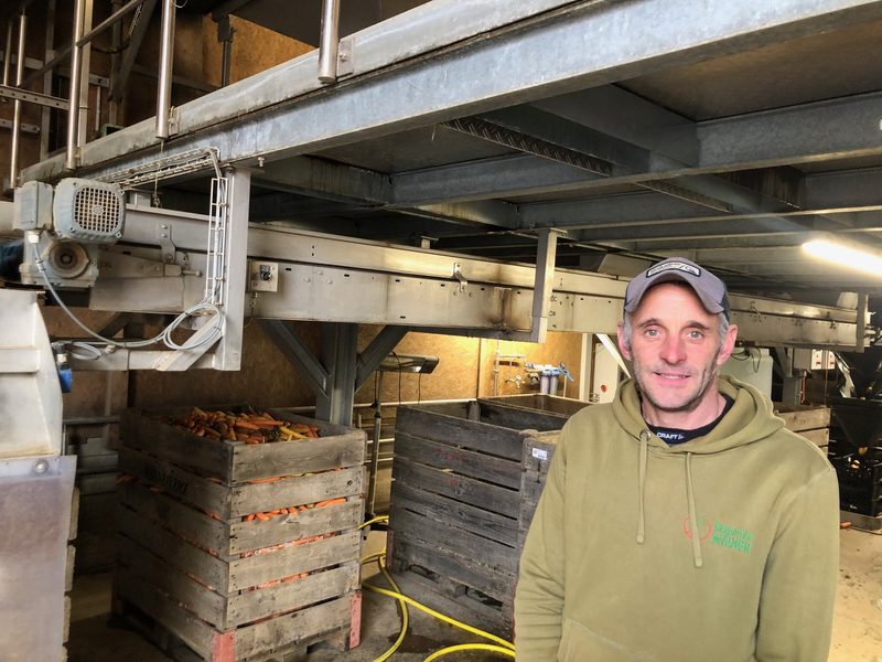 Biogemüse anbauen, aufbereiten und verkaufen