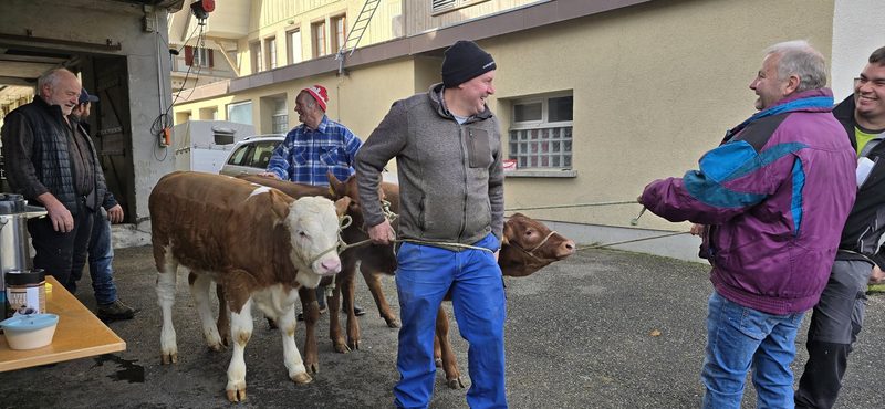 Kälbermarkt in Eggiwil: Sind die Mäster bald eine aussterbende Gattung?