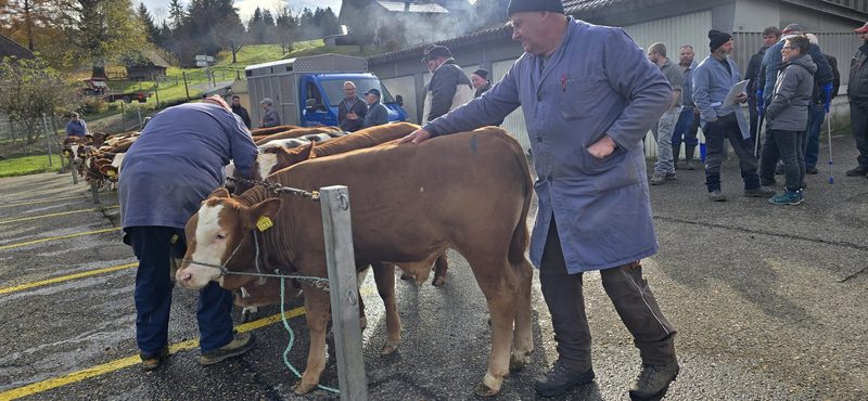Kälbermarkt in Eggiwil: Sind die Mäster bald eine aussterbende Gattung?
