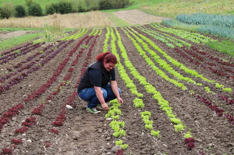 Arbeiten auf dem Feld gehören für Nadine Hofstetter dazu.