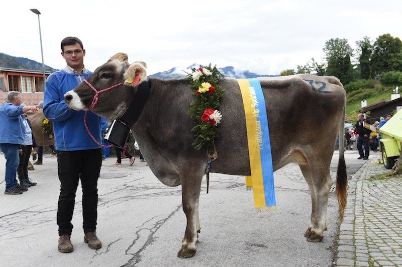 Alp Spektakel in Graubünden: Abzug, Käse und schöne Bärte