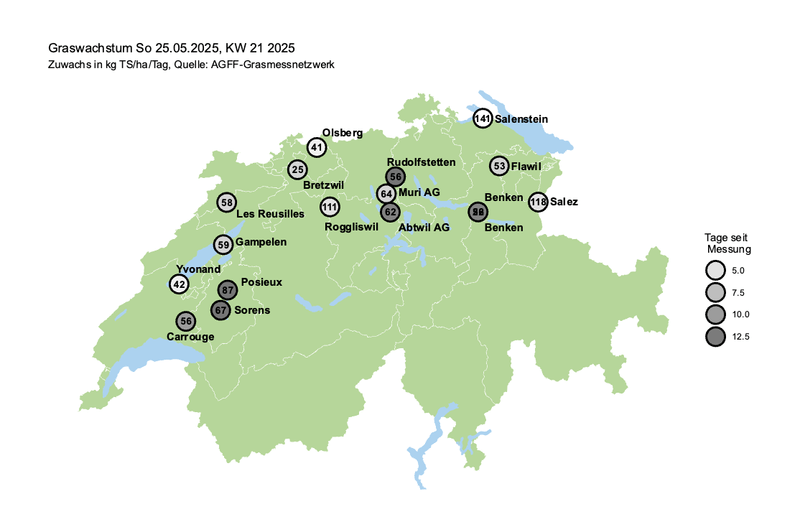 Mit dem Ähreschieben sinkt das Blattwachstum auf den Weiden