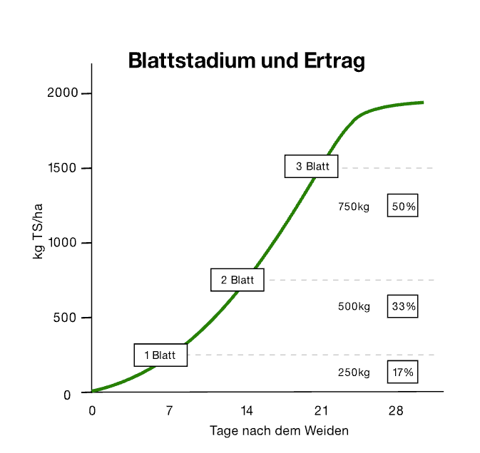 Mit dem Ähreschieben sinkt das Blattwachstum auf den Weiden