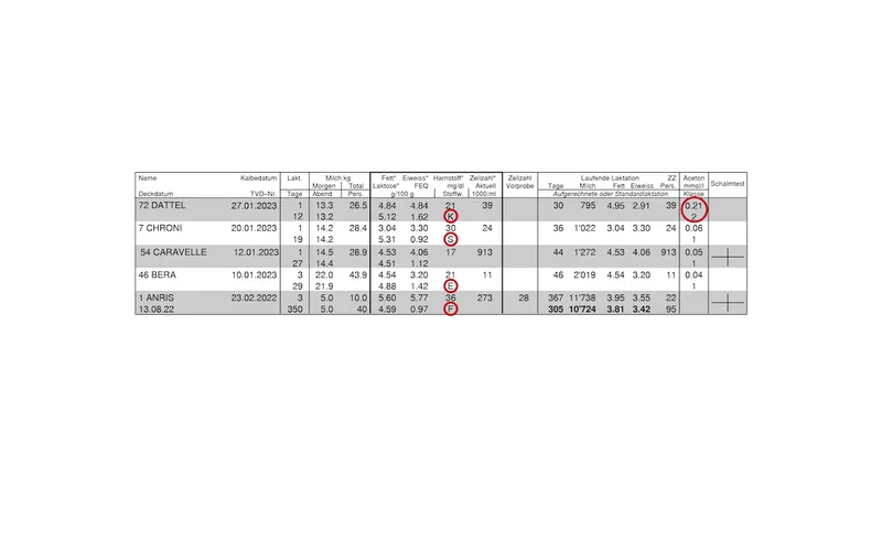 Die Tabelle zeigt Beispielskühe und ihre Milchgehalte.