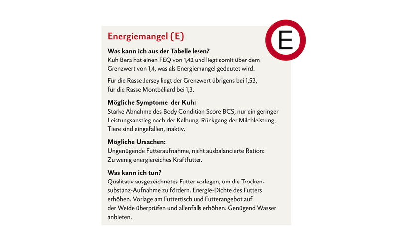 Milchleistungsprüfung Energiemangel