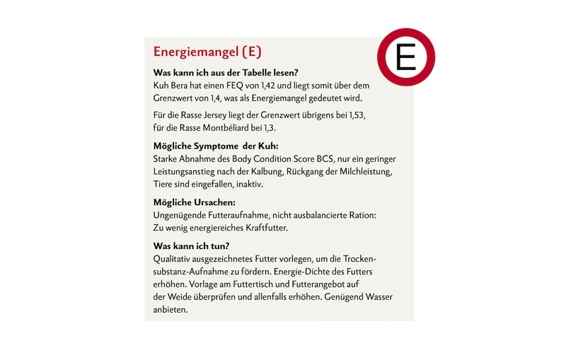 Milchleistungsprüfung Energiemangel