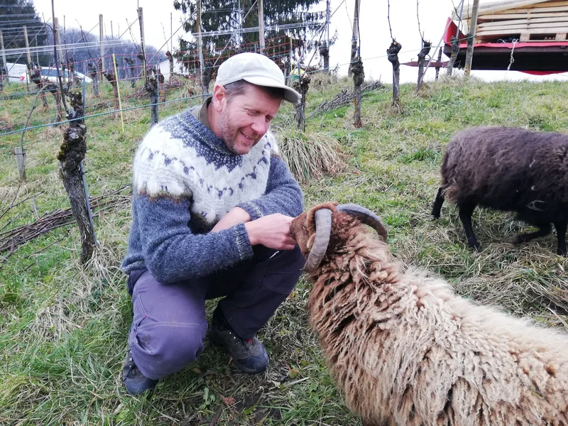 Diese 5 Projekte gewinnen den Förderpreises Agroforst Aargau