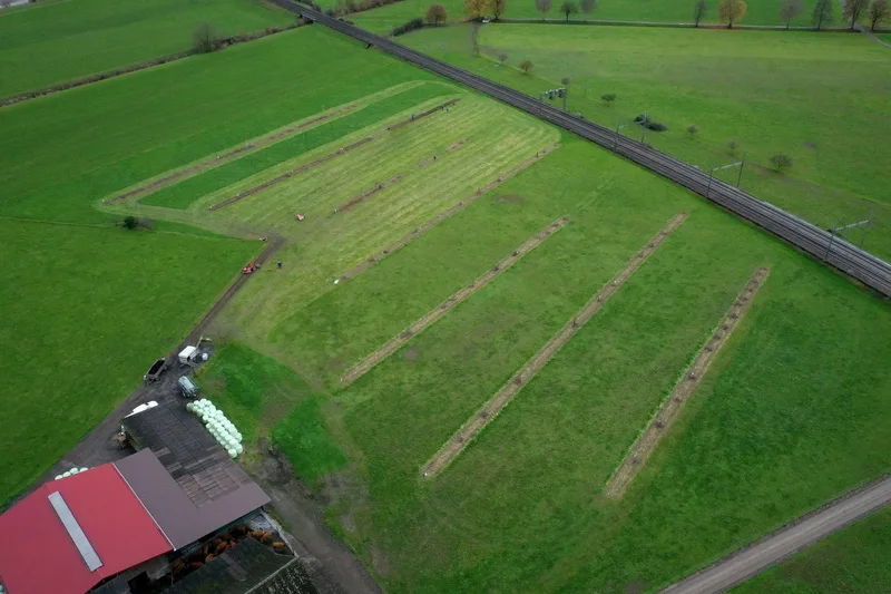Diese 5 Projekte gewinnen den Förderpreises Agroforst Aargau