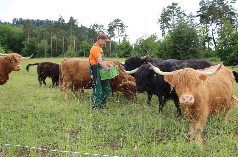 Diese 5 Projekte gewinnen den Förderpreises Agroforst Aargau