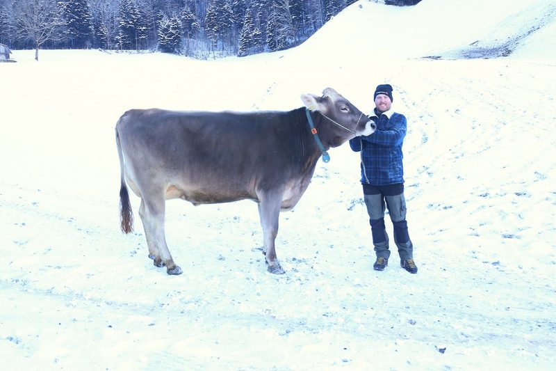 Braunvieh-Fans: Die Familie Niederberger züchtet auf viel Milch und schöne Euter