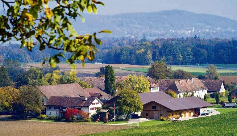 Der Gutsbetrieb wird seit bald 30 Jahren von Jacqueline und Daniel Erb bewirtschaftet. In den ersten Jahren waren sie noch Verwalter, dann wurden sie zu Pächtern. Auf Ende Jahr steht die Pachtübergabe an den Nachfolger an.