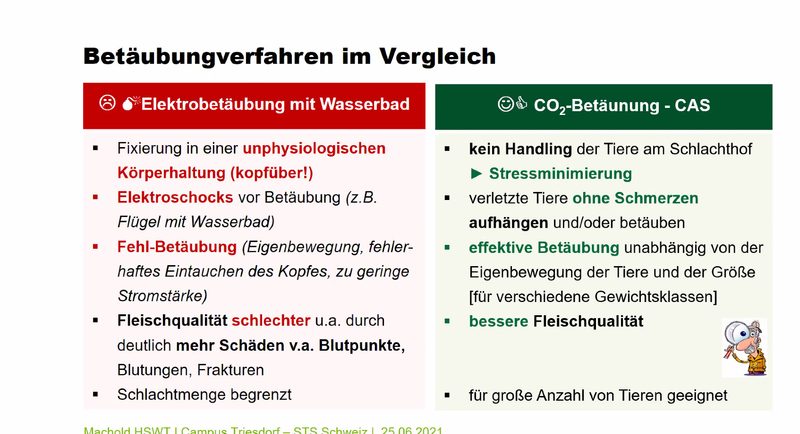 «Oftmals sind die Tiere vor der Tötung ungenügend betäubt»