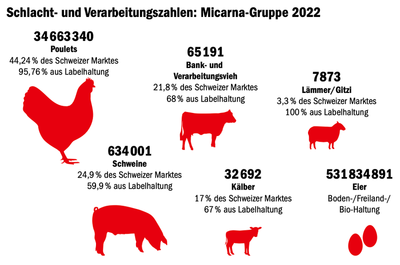 Der Konsument spart beim Fleisch