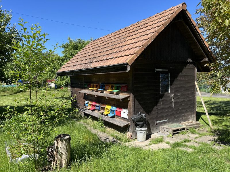 Vergiftung in Schnottwil: Biozide können Bienen töten – auch ausserhalb des Ackerbaus