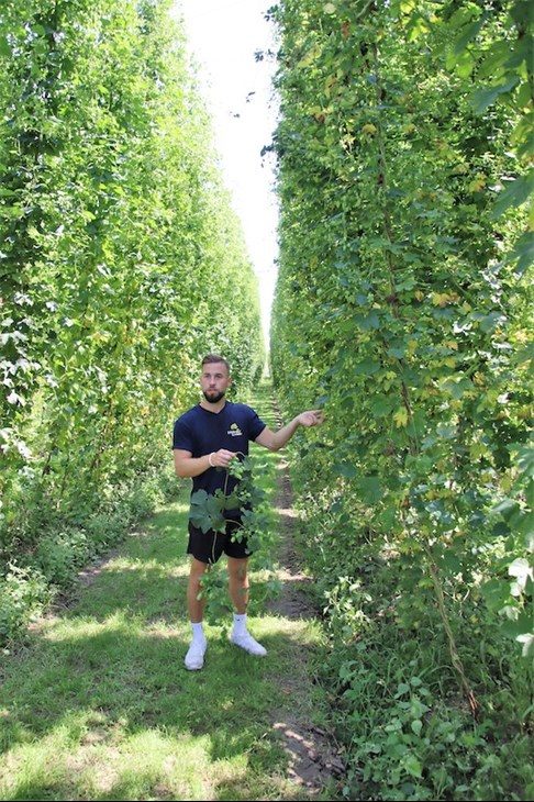 Dem Hopfen auf der Spur