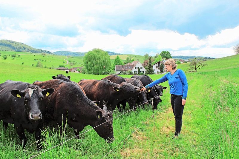 Zum Hof gehört eine Herde Angus-Rinder. Das Fleisch der Tiere vermarktet die Familie Wirth direkt.